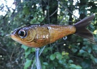 Image 5 of SPEEDBAITS Custom Airbrushed Glide Bait 4749