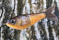 Image 6 of SPEEDBAITS Custom Airbrushed Glide Bait 4749
