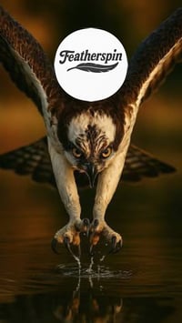 The Osprey 