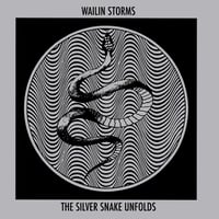 Wailin Storms "The Silver Snake Unfolds"