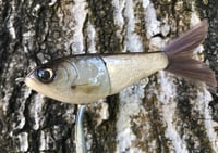 Image 1 of SPEEDBAITS Custom Airbrushed Glide Bait 9087