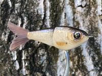 Image 2 of SPEEDBAITS Custom Airbrushed Glide Bait 9087