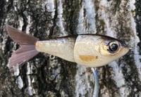 Image 3 of SPEEDBAITS Custom Airbrushed Glide Bait 9087