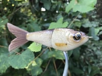 Image 6 of SPEEDBAITS Custom Airbrushed Glide Bait 9087
