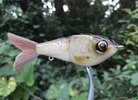Image 8 of SPEEDBAITS Custom Airbrushed Glide Bait 9087