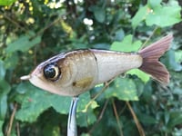 Image 9 of SPEEDBAITS Custom Airbrushed Glide Bait 9087