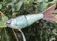 Image 2 of SPEEDBAITS Custom Airbrushed Glide Bait 9126