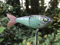 Image 3 of SPEEDBAITS Custom Airbrushed Glide Bait 9126