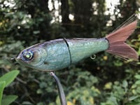 Image 4 of SPEEDBAITS Custom Airbrushed Glide Bait 9126