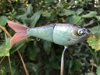 Image 7 of SPEEDBAITS Custom Airbrushed Glide Bait 9126