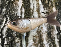 Image 2 of SPEEDBAITS Custom Airbrushed Glide Bait 9135