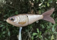 Image 3 of SPEEDBAITS Custom Airbrushed Glide Bait 9135