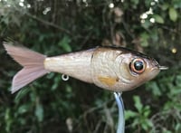 Image 4 of SPEEDBAITS Custom Airbrushed Glide Bait 9135