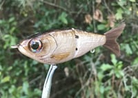 Image 6 of SPEEDBAITS Custom Airbrushed Glide Bait 9135