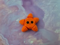 Image 3 of Mini Starfish