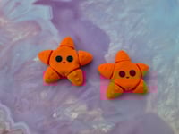 Image 1 of Mini Starfish
