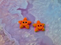 Image 2 of Mini Starfish