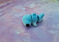 Image 2 of Mini Hammerhead Shark