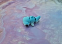 Image 4 of Mini Hammerhead Shark