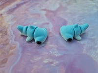 Image 3 of Mini Hammerhead Shark