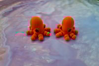 Image 2 of Mini Octopus