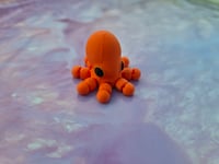 Image 1 of Mini Octopus