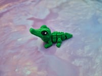 Image 1 of Mini Crocodile