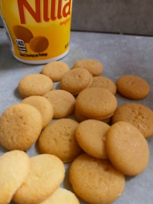 Image of Vanilla Wafer wax melts/ Mini Vanilla wafer wax melts/ wax embeds/ candle embeds/ food wax melts/...
