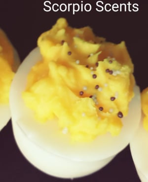 Image of Wax Melts/ Faux Food wax melt/ Fake Food Wax melts/