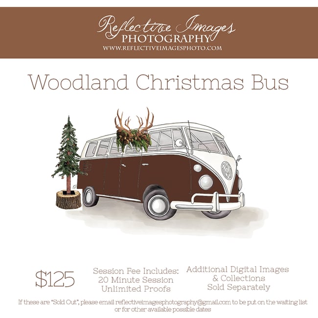 Woodland Christmas Bus