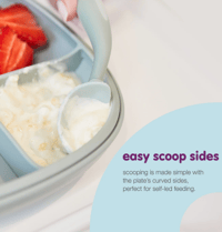 Image 8 of B. Box 2 in 2 Suction Plate 3 colours