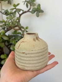 DUSTY VASE