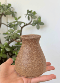 TOASTED VASE