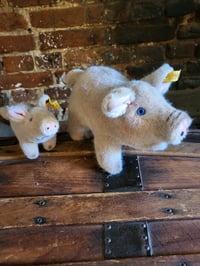 Image 1 of Steiff Piglets.. 1510/10  3810/17