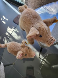 Image 3 of Steiff Piglets.. 1510/10  3810/17