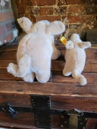 Image 4 of Steiff Piglets.. 1510/10  3810/17