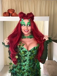Image 1 of Enchanting Green Villain-Inspired Costume – Made to Measure