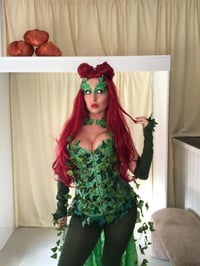 Image 2 of Enchanting Green Villain-Inspired Costume – Made to Measure