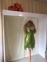 Image 8 of Pixie-Inspired Green Fairy Costume - Made to measure