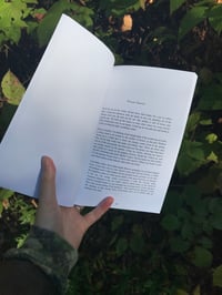 Image 3 of Little Death Poems