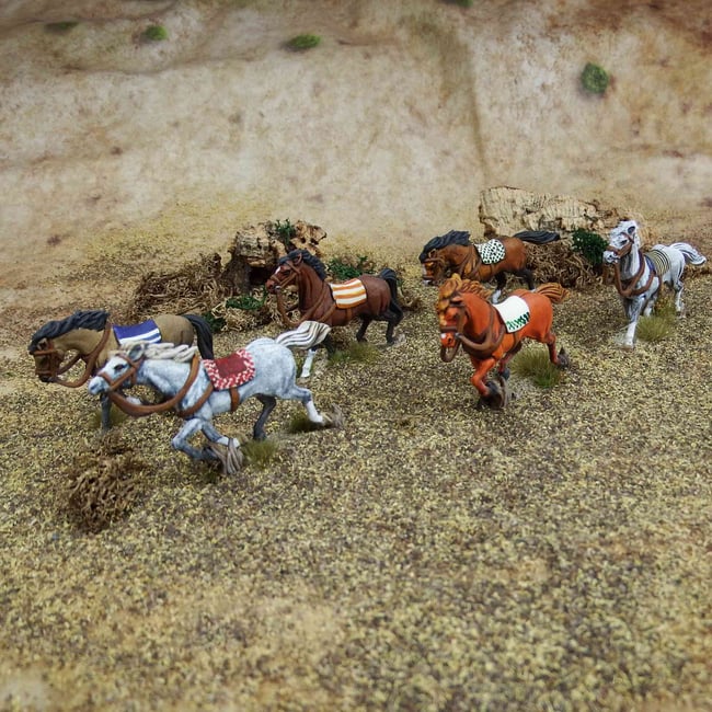 Light Horses (WAAGA005)