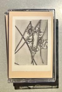 Image 1 of Jonas Torstensen | Arvesynd | c30