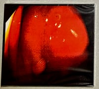 Image 1 of Brent Lewiis Ensemble | Dumb Tangerine Dream | CD