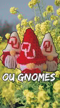 Image 1 of Decorative Gnomes 