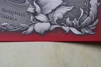 Image 2 of Dave Matthews Band - SPAC - Saratoga Springs, NY - 7/18/25 