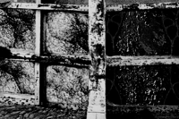 PFTSR TRADE LIST 2025