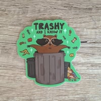 Image 1 of Trashy and I Know It - Cute Funny Raccoon Vinyl Sticker