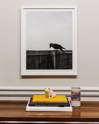 Image 2 of "Raven" Art Print (Edition of 10)