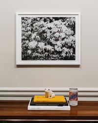 Image 2 of "Inaka" Art Print (Edition of 10)