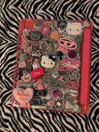 Custom iPad case 